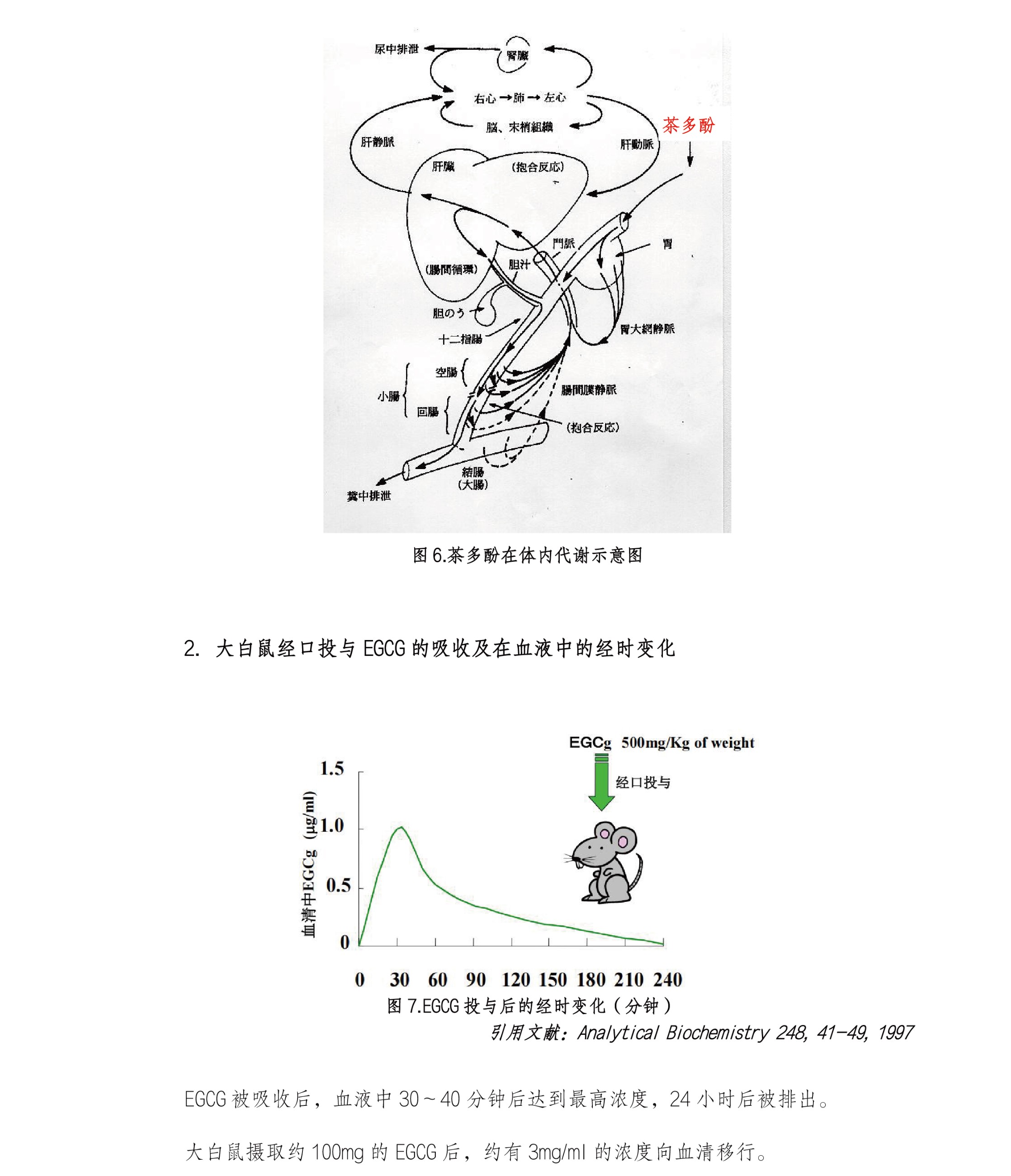 圖片關鍵詞